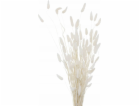 Boltze Dekorativní větvičky do vázy, sušené, 70 cm