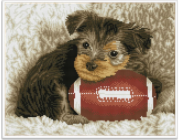 DIAMOND DOTZ Diamond výšivka Diamond Dotz Diamond mozaika Footy Pup Štěně s rugbyovým míčem 49x40cm DQ8017