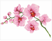DIAMOND DOTZ Diamantová výšivka Diamond Dotz Orchidej 49x39cm DD6034