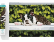 DIAMOND DOTZ Diamantová výšivka Diamond Dotz Diamantová mozaika Pes ležící Boston Blues 55x45cm DQ10018