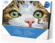 DIAMOND DOTZ Diamantová výšivka Diamond Dotz Diamantová mozaika Kočičí oči 37,5x29,5cm DDK6029