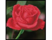 DIAMOND DOTZ Diamantová výšivka Diamond Dotz Červená růže 33x33cm DDK5038