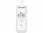 Goldwell GOLDWELL Dualsenses Just Smooth vyhlazující šamp...