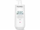 Goldwell Dualsense Scalp Deep Cleansing šampon na vlasy 1...