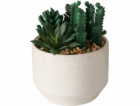 Boltze Umělá rostlina SUKULENT, 12 cm