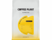Coffee Plant Kávové rostlinné espresso Etiopie Oromia 250g