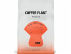 Coffee Plant Kávová rostlina FLOW Juicy Fruit 250g kávová...