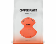 Coffee Plant Kávová rostlina FLOW Jungle Fruit 250g kávová zrna