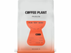 Coffee Plant Kávová rostlina FLOW Verry Berry 250g