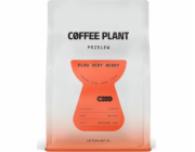 Coffee Plant Kávová rostlina FLOW Verry Berry 250g