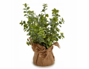 Ibergarden Umělé bylinky v květináči do kuchyně, 17,7 cm