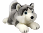 Dubi Maskot pes husky ležící plyšový 34cm měkký mazlivý pes