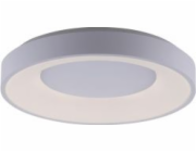 Paul Neuhaus Stropní lampa ANIKA 14326-16 stropní lampa