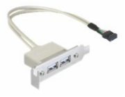 Delock Slot bracket - Kabel USB - USB (F) do hlavička USB 9 pinů (F) - USB 2.0 - 50 cm