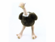 Rappa Plyšový pštros Emu 32 cm