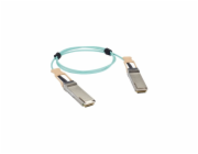 XtendLan QSFP28 AOC optický spojovací kabel, 100Gb/s, 1m, aktivní, Cisco, Planet kompatibilní