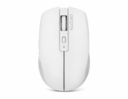 DICOTA Wireless Mouse BT/2.4G NOTEBOOK white