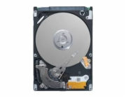 Dell Serverový disk 2TB 3,5'' SATA III (6 Gb/s) (161-BCBC)