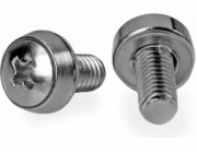 StarTech M6 x 12mm sada šroubů/podložek - 100 sad Stříbrná (CABSCREWSM62)