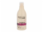 Šampon na poškozené, barvené vlasy Stapiz Sleek Line Colo...