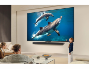 Televize 55QNED84A3C