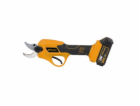 Riwall PRO RAP 3020i SET