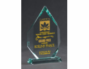 Victoria Sport Skleněná trofej s rytím a pouzdrem + výplň barvou