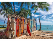 Trefl Puzzle 1000 dílků Waikiki Beach Havaj
