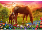 Trefl Puzzle 500 dílků Koně na louce