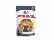 ROYAL CANIN Intense Beauty Mokré krmivo pro kočky Kousky v omáčce 12x85 g