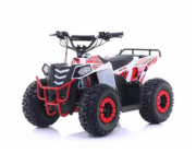 Nabíječka Energy Adventure Busy/Cargo Bee 24V