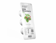Click and Grow Plant Lusky Strawberry 3-Pack SGR24X3