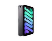 iPad mini Wi-Fi + Cellular 256 GB – vesmírně šedý