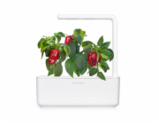 Smart Garden Červená paprika, sladká