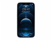 Artwizz kryt TPU Case pro iPhone 12 Pro Max - Black