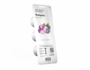 Smart Garden Petunie
