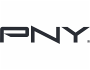 PNY PRO ELITE VYSOKÁ VÝDRŽ 256 GB
