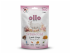 OLLO Air-Dried Skin & Coat Lamb strips - pamlsek pro psa ...