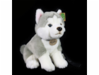 Rappa Plyšový pes husky sedící s vodítkem 28 cm ECO-FRIENDLY