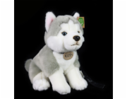 Rappa Plyšový pes husky sedící s vodítkem 28 cm ECO-FRIENDLY
