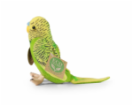 5987427