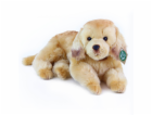 Rappa Plyšový pes zlatý retrívr ležící 32 cm ECO-FRIENDLY