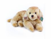 Rappa Plyšový pes zlatý retrívr ležící 32 cm ECO-FRIENDLY