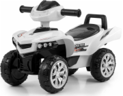Lean Sport Řídicí jednotka JR1922RXS-3W-12V pro vozidlo XMX618 XMX608