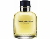 Dolce & Gabbana pánský parfém Dolce & Gabbana EDT Pour Homme 200 ml