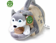 Rappa Plyšový pes Husky  s přepravkou 13 cm ECO-FRIENDLY