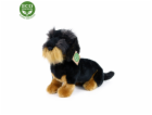 Rappa Plyšový drsnosrstý jezevčík sedící 30 cm ECO-FRIENDLY