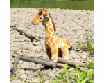 5993172