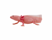 Mojo Axolotl