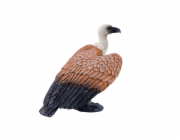 Mojo Sup bělohlavý hnědý